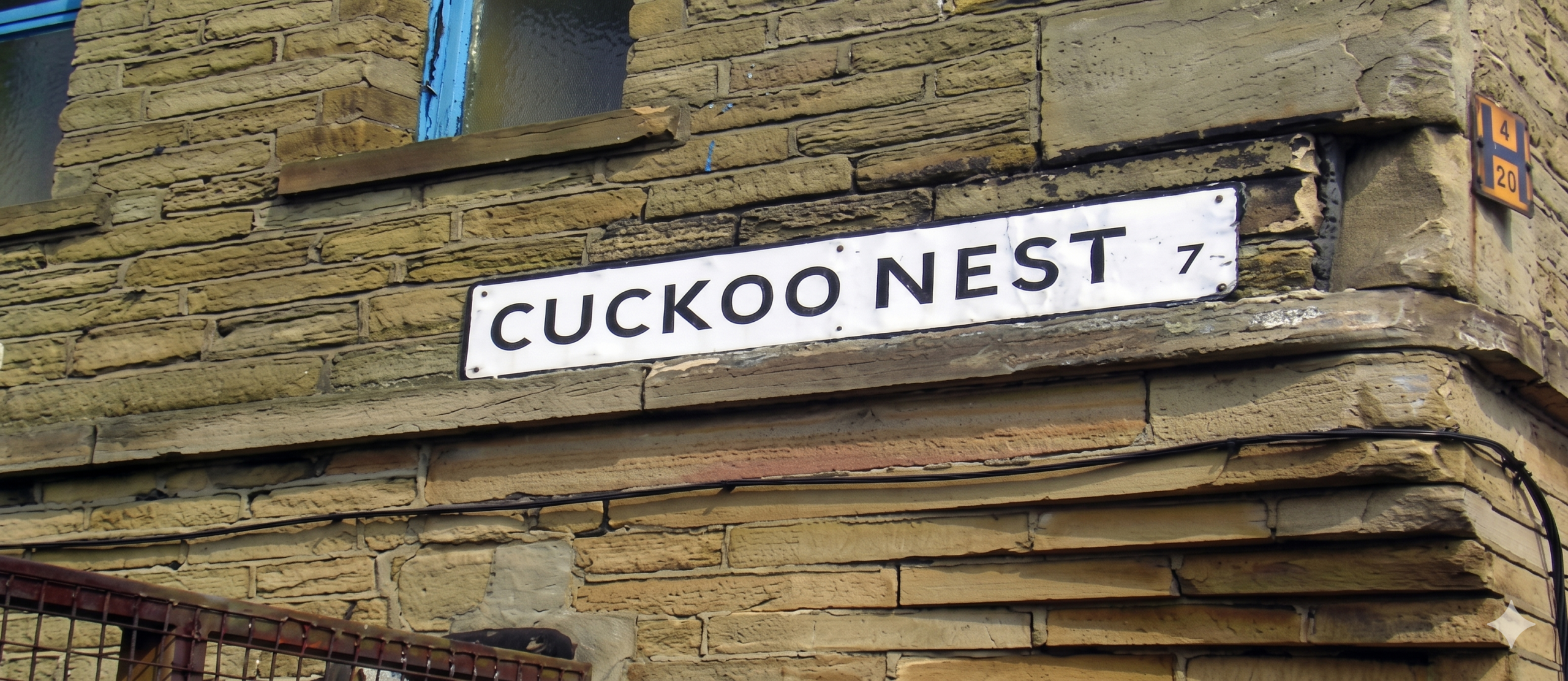 The Cuckoo’s Nest